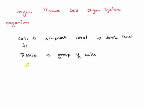 put-the-following-levels-of-biological-organization-into-the-correct-order-least-inclusive-smallest-to-the-most-complex-level-largestc-from-the-organ-tissue-cell-organ-system-organism-57125