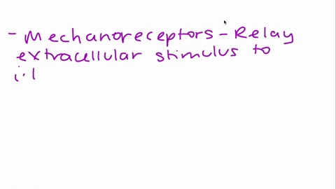 what-three-kinds-of-receptors-form-the-cutaneous-senses-48948