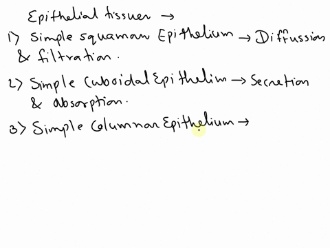 name-different-types-of-epithelial-tissues-and-give-functions-of-each-of-them-11427