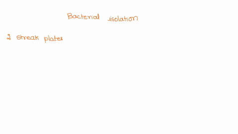 0812-laboratory-exercise-13-bacterial-isolation-and-identification-student-name-you-are-given-mixed-culture-of-two-organisms-in-smalltube-of-tsb-these-ino-organisms-include-gram-negative-str-31983
