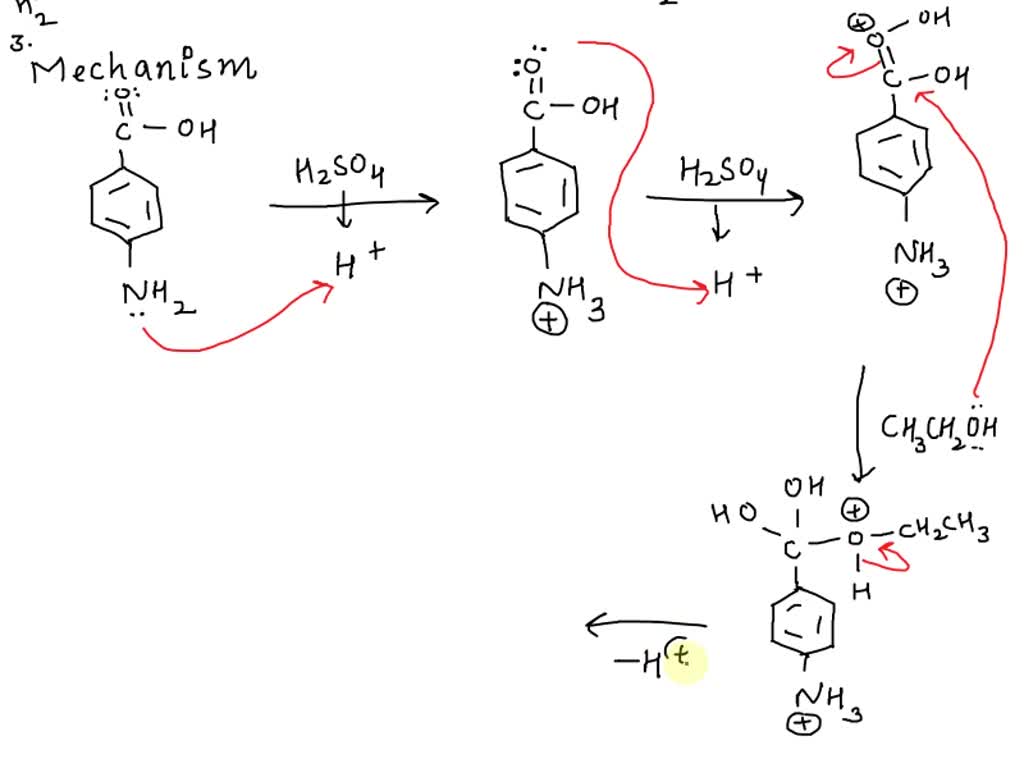 solved-what-are-the-side-reactions-in-the-preperation-of-benzocaine