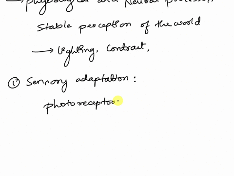 how-does-visual-adaptation-occur-in-the-visual-system-what-are-the-processes-and-what-are-the-functions-it-may-serve-97518