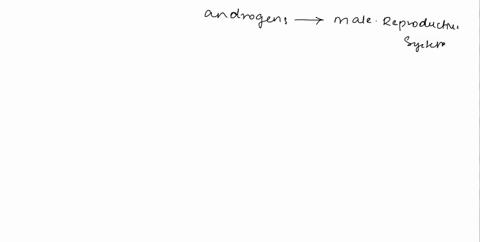 which-androgen-leads-to-the-development-of-the-male-reproductive-system-choose-the-correct-option-a-estradiol-b-testosterone-c-prostaglandins-d-progesterone-steroid-hormones-have-both-organi-97446
