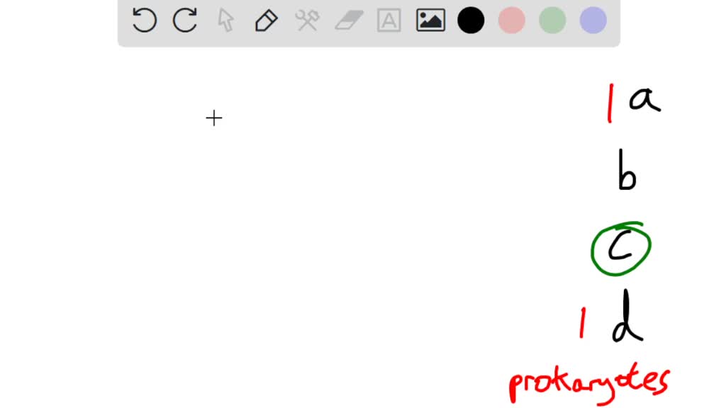 SOLVED Which of the following is not a domain in the threedomain