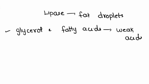 lipase-is-digestive-enzyme-that-digests-fat-droplets-droplets-are-fat-already-affectecoy-an-emulsifier-lipase-occurs-in-the-alkaline-conditions-of-the-small-intestine-where-nahcor-weak-base-82045