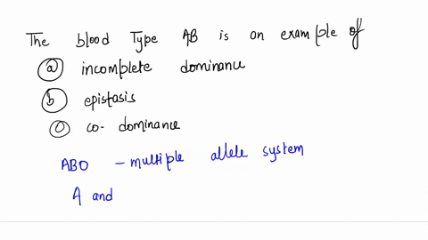 the-blood-type-ab-is-an-example-of-what-type-of-hereditary-characteristic-a-incomplete-dominance-b-epistasis-c-co-dominance-25427