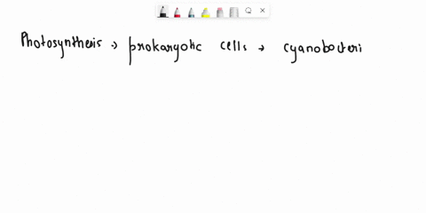 only-eukaryotic-cells-are-capable-of-photosynthesis-because-photosynthesis-requires-chloroplasts-true-false-48771