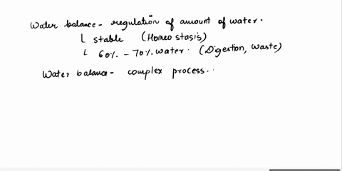 what-is-water-balance-and-why-is-it-important-for-homeostasis-describe-how-each-of-the-following-hormones-affects-water-reabsorption-either-directly-or-indirectly-adh-angiotensin-ii-aldoster-55006