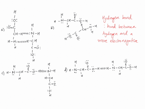 which-of-these-correctly-depicts-hydrogen-bonding-a-dashed-line-j-is-used-to-represent-the-potential-hydrogen-bond-0-6c-ch-hudn_h-jumh__ch-co-h-ch-c-ch-c_0-hum-n-h-h__ch-co-0-h-_n-_ch-_o__hu-56857