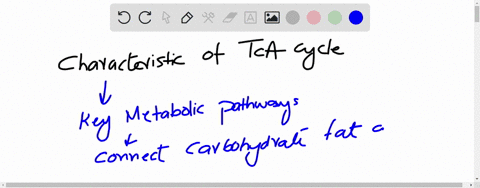 which-of-the-following-characteristics-of-the-tca-cycle-are-correct-answers-a-none-of-the-two-acetyl-carbons-is-lost-during-the-first-round-of-the-cycle-b-the-production-of-energy-rich-compo-88261