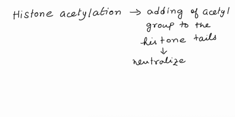 acetylation-of-histone-tails-a-adds-a-positive-charge-to-histones-and-is-associated-with-a-less-condensed-form-of-chromatin-heterochromatin-b-adds-a-positive-charge-to-histones-and-is-associ-97008