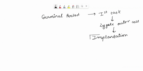 during-the-germinal-period-the-first-task-of-the-zygotes-outer-cells-is-_____-44452