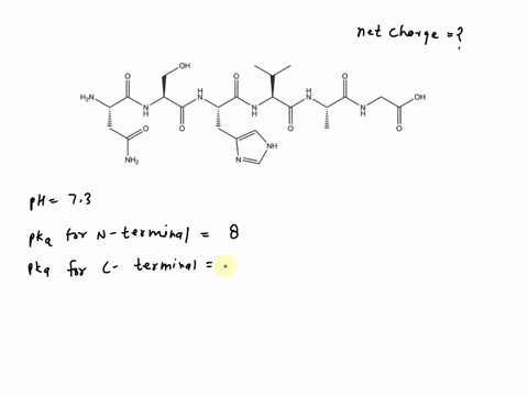 what-would-be-the-approximate-net-charge-of-the-peptide-shown-below-at-ph-73-to-facilitate-answering-this-question-assume-that-the-n-terminal-aminium-group-has-a-pka-of-8the-c-terminal-carbo-12692