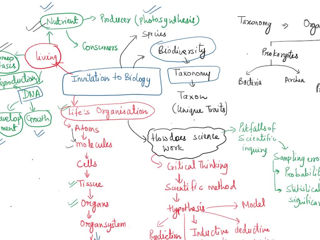 SOLVED I need help making a detailed concept map using all of the