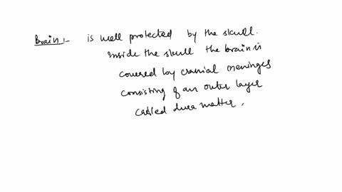 briefly-describe-the-structure-of-the-following-a-brain-b-eye-c-ear-67586