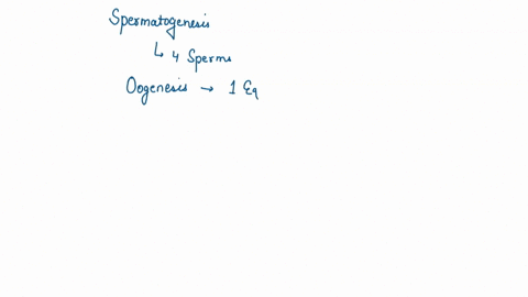 during-spermatogenesis-four-sperms-are-produced-but-during-oogenesis-only-one-ovum-develops-what-may-be-a-good-explanation-for-this-36053