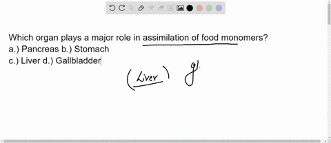 which-organ-plays-a-major-role-in-assimilation-of-food-monomers-a-pancreas-b-stomach-c-liver-d-gallbladder-61985