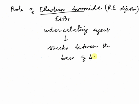 what-is-the-role-of-ethidium-bromide-in-the-procedure-restriction-endonuclease-digestion-of-plasmid-dna-74438