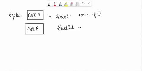 please-answer-fast-its-urgent-8-observe-the-figure-given-below-answer-the-questions-a-what-has-happened-to-cell-a-b-explain-b-identify-the-type-of-solution-into-which-cell-a-b-are-placed-c-n-42209