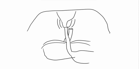 label-the-structures-of-the-posterior-thoracic-wall-using-the-hints-if-provided-abdominal-aorta-stomach-thoracic-esophagus-abdominal-esophagus-visceral-peritoneum-48959