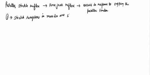 a-doctor-assesses-karomo-somatic-reflex-by-tapping-his-patellar-tendon-with-rubber-hammer-directly-below-the-knee-cap_-of-the-choiccs-provided_-what-are-the-steps-in-the-patellar-stretch-ref-01573
