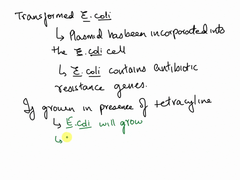 the-ptet-kan-plasmid-carries-a-origin-of-replication-ori-and-genes-conlerring-resistance-lo-ine-anlbiotics-tetracycline-tet-and-kanamycin-kan-as-represented-in-the-figure_-cultures-of-e-coli-50223