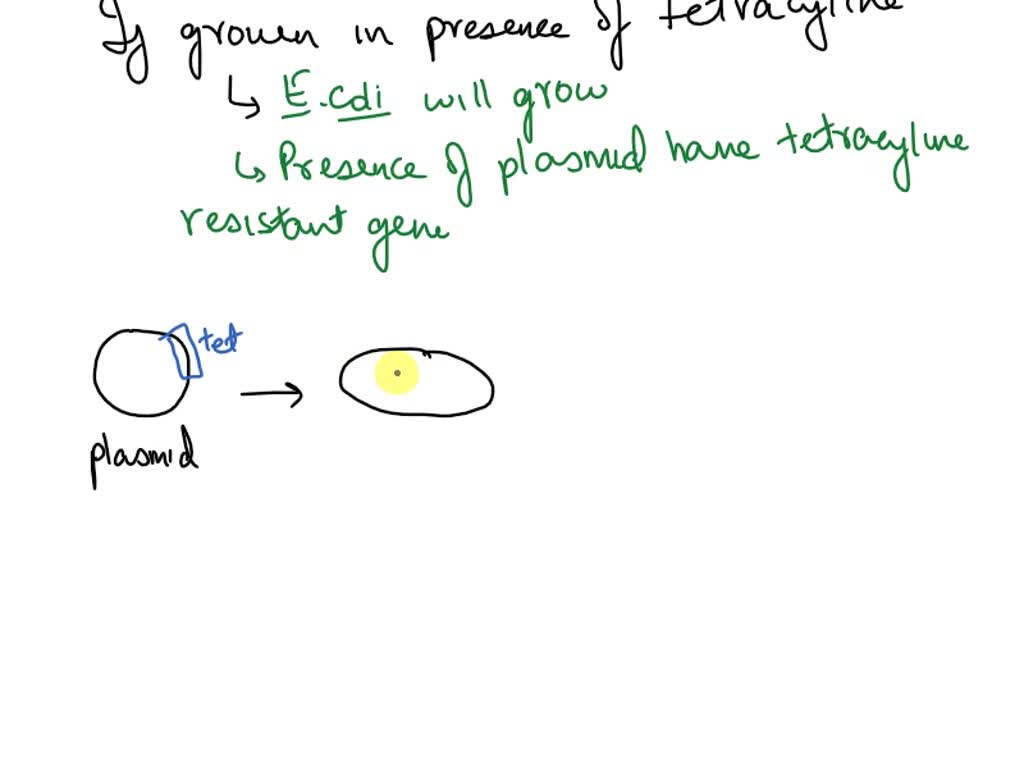 Solved: The Ptet-kan Plasmid Carries An Origin Of Replication (ori) And 