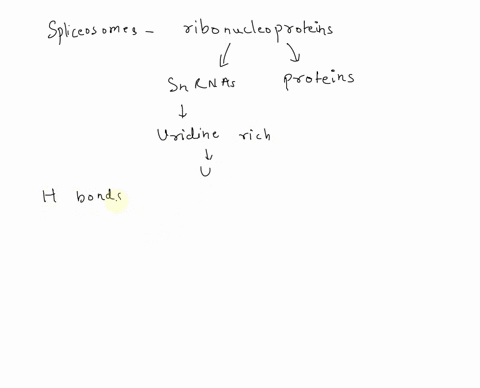 2oh-01-te-kast-jrve0f-uhhe-uuppytrt-amoxui-question-4p1s-match-the-following-components-of-the-spliccosome-with-their-role-in-the-splicing-out-of-rna-introns-lui-b-u2-cu4-us-u6-select-h-bond-80953