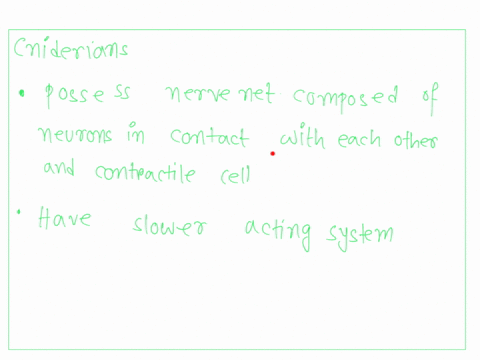 nervous-systems-classify-the-following-characteristics-t0-describe-tne-similarities-and-differences-of-cnidarians-planarians_-and-annelids-responses-may-be-used-more-inan-once-exhibit-centra-82981
