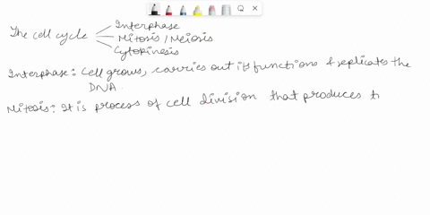 the-final-stage-of-the-cell-cycle-during-which-the-cytoplasm-divides-is-called-telophase-mitosis-o-o-cytokinesis-prophase-interphase-metaphase-anaphase-11207