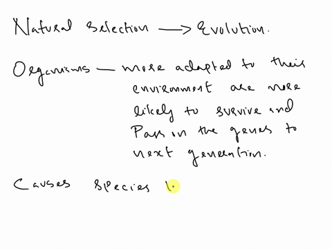 how-does-natural-selection-lead-to-the-evolution-of-a-species-14586
