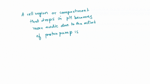 question-7-075-pts-which-of-these-represent-cell-region-or-compartment-that-drops-in-ph-becoming-more-acidic-due-to-the-action-of-proton-pumps-select-all-that-applv-extcrior-of-bacterial-ccl-76302