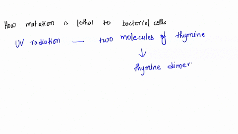 uv-radiation-causes-a-lethal-mutation-in-bacterial-dna-briefly-explain-how-the-mutation-is-lethal-to-bacterial-cells-99376