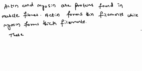 using-the-words-actin-myosin-cross-bridge-and-zone-of-overlap-explain-why-the-most-tension-is-created-when-squeezing-a-hand-dynamometer-with-your-wrist-in-the-neutral-position-11248