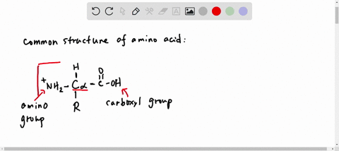 of-the-20-amino-acids-found-in-living-organisms-chapter-3-of-vour-text-analyze-the-structure-individuals-diet-which-elements-availability-apart-from-c-h-0-which-are-plentiful-in-mpst-any-i5-73228