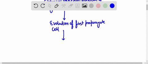 place-in-order-the-following-events-regarding-the-role-of-microbes-in-the-evolution-of-life-on-earth-1-terrestrial-life-emerges-2-first-prokaryotic-cells-evolve-3-photosynthesis-occurs-4-che-09718
