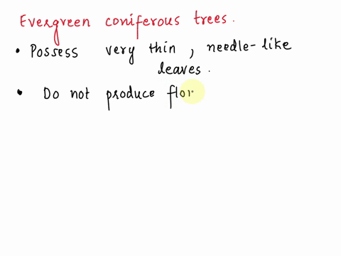 which-statement-describes-a-characteristic-of-an-evergreen-coniferous-tree-loses-all-leaves-in-the-winter-leaves-change-color-in-the-fall-can-grow-in-the-tundra-has-cones-and-needle-like-lea-55479