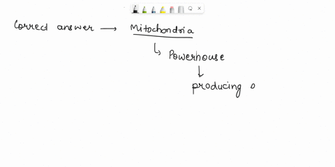 which-structure-provides-energy-to-the-cell-a-cytoskeleton-b-mitochondria-c-ribosomes-d-endoplasmic-membrane-26494