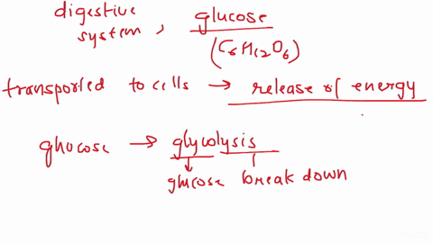 chapter-7-how-cells-harvest-energy-interpret-the-role-of-electrons-electron-carriers-and-atp-in-energy-metabolism-explain-the-purpose-of-oxygen-in-respiration-describe-where-in-the-cell-and-25243