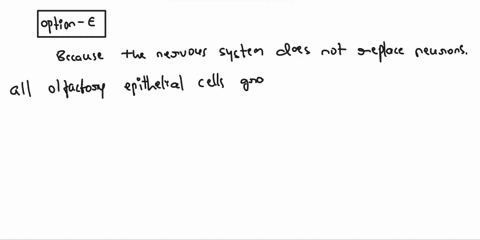please-help-me-with-my-review-1-4-1-the-olfactory-epithelium-is-composed-of-several-cells-which-of-the-following-statements-is-not-true-concerning-these-cells-a-olfactory-hairs-protrude-from-11675