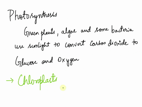 specifically-in-which-organelle-does-photosynthesis-take-place-76055