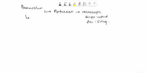 the-most-important-morphological-characteristic-to-help-determine-the-phylum-of-the-organism-pictured-below-is-othe-presence-of-chloroplasts-othe-presence-of-cilia-othe-absence-of-chloroplas-00855
