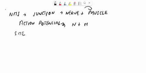 ch-112-somatic-what-would-you-find-in-a-neuromuscular-junction-acetylcholine-esterase-the-nuclei-of-motor-neurons-muscarinic-acetylcholine-receptors-beta-adrenergic-receptors-mnuscle-spindle-53598