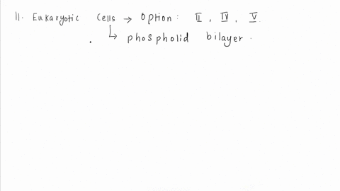 help-on-the-bottom-2-please-11-which-statements-can-apply-to-eukaryotic-cells-unicellular-ii-phospholipid-cell-membranes-hi-dna-stored-in-plastids-iv-enclosed-cytopiasm-double-walled-nuclear-58037