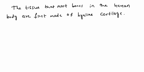 1-most-bones-in-the-human-body-are-first-made-of-__________-tissue-this-tissue-is-later-replaced-with-bone-tissue-a-adipose-b-dense-fibrous-connective-c-elastic-connective-d-hyaline-cartilag-32587