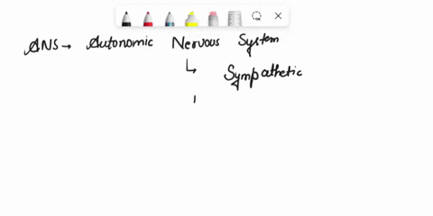 the-autonomic-nervous-system-is-subdivided-into-a-afferent-and-efferent-systems-b-sympathetic-and-pa-84478