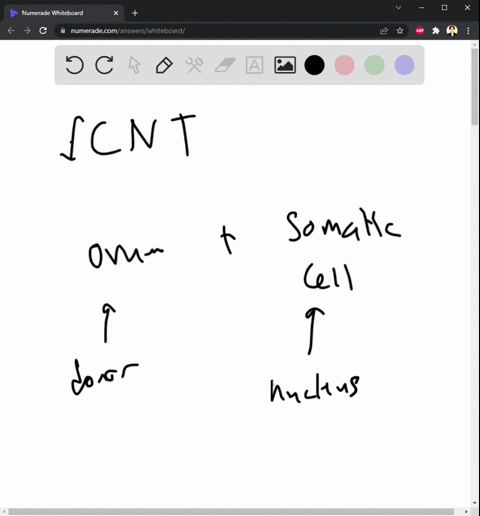 describe-the-process-of-somatic-cell-nuclear-transfer-and-how-it-is-used-to-create-cloned-cells-explain-what-you-consider-to-be-the-positive-and-negative-aspects-of-cloning-both-scientifical-66017