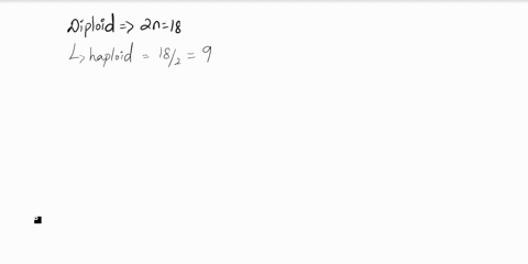 if-an-organisms-diploid-chromosome-number-is-18-how-many-different-possible-combinations-of-homologous-chromosomes-lining-up-during-meiosis-exist-for-the-eggs-or-sperm-produced-by-that-organ-70333