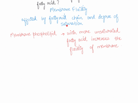 what-is-the-likely-impact-on-the-fluidity-of-a-phospholipid-bilaycr-if-its-monounsaturated-fatty-acds-are-convcrtcd-to-fully-saturatcd-fatty-acids-select-one-fluidity-will-increase-because-t-46588