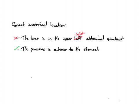 which-of-the-following-descriptions-of-anatomic-location-is-accurate-question-12-options-the-liver-is-in-the-left-upper-abdominal-quadrant-the-pancreas-is-anterior-to-the-stomach-the-cecum-directly-co